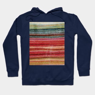 Ethnic fabric Hoodie